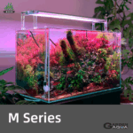 WEEKAQUA M SERIES
