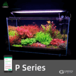 WEEKAQUA P SERIES PRO