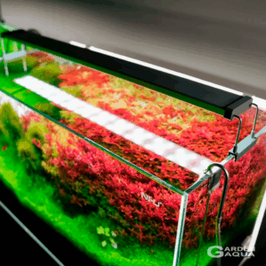 Chihiros serie B - 45 - 60 cm