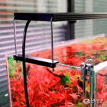 Chihiros WRGB II Classic