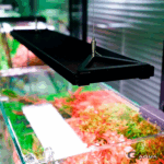 Chihiros WRGB II Pro