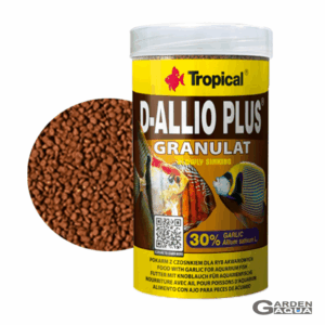 D-ALLIO PLUS